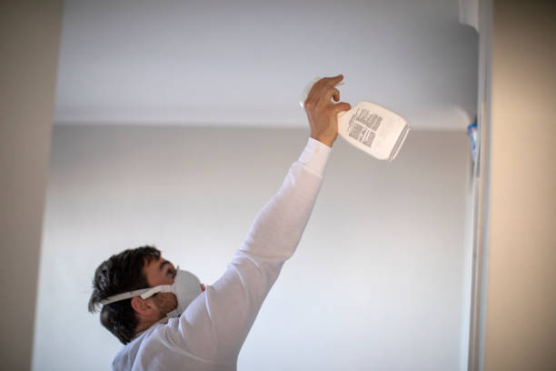 Best Office Mold Removal Services  in Columbiana, AL