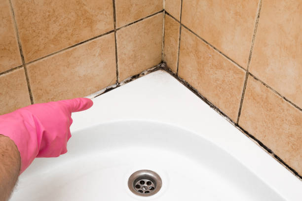 Best Mold Remediation  in Columbiana, AL